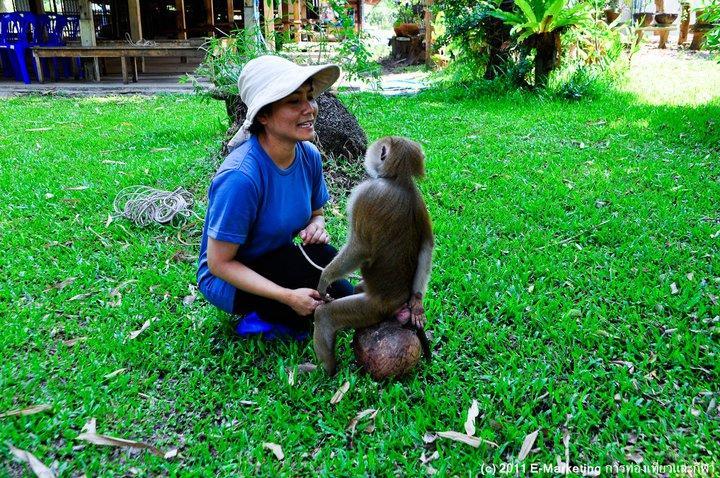 Ruean Thai Nai Bang By Pansak Resort Surat Thani Luaran gambar